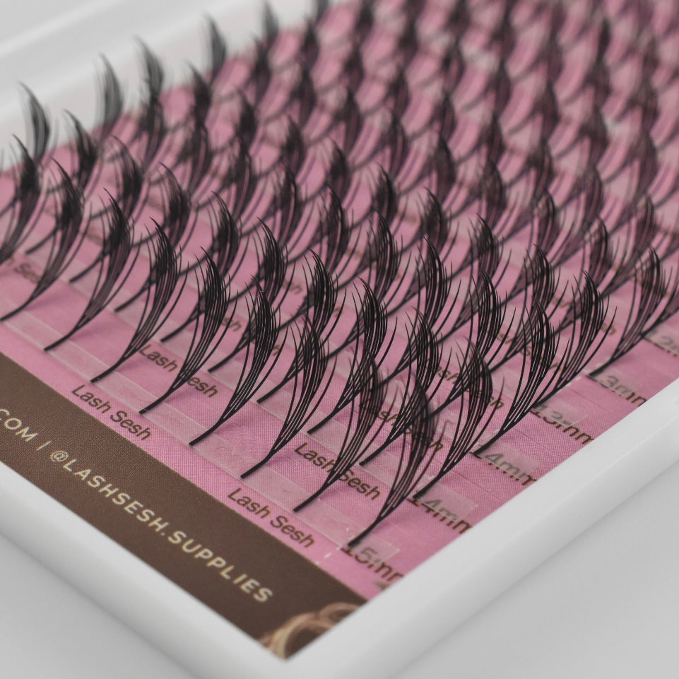 Anime Lash Trays