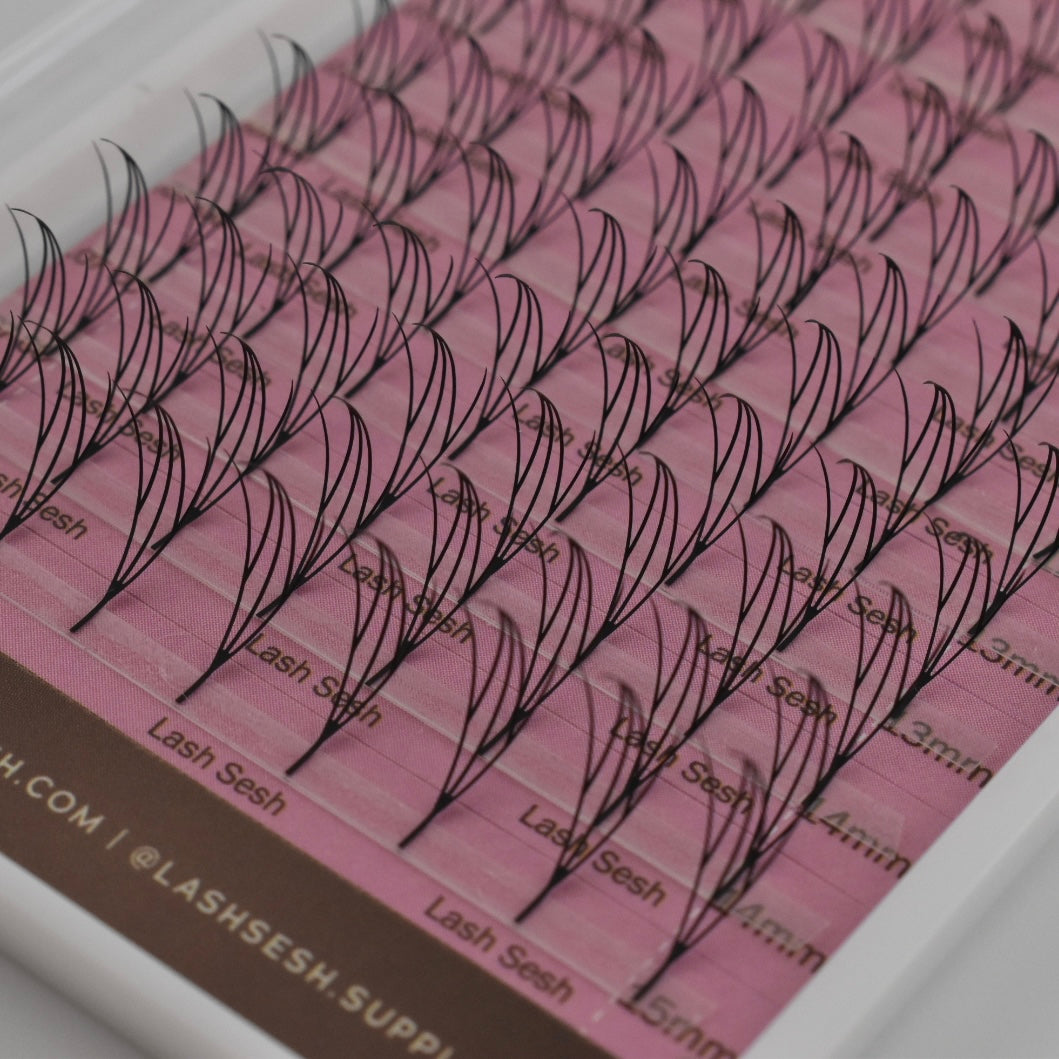 Anime Lash Trays