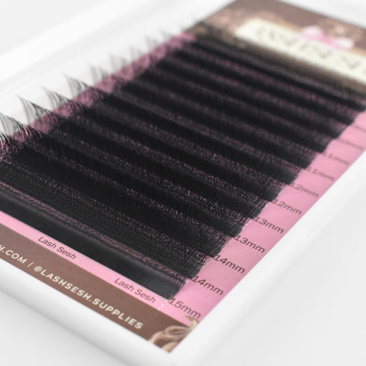 W 3d Lash Tray