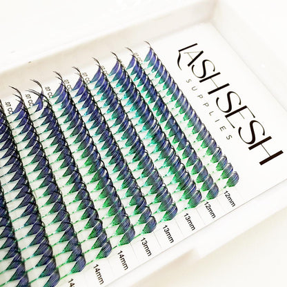 Tinsel Anime Lash Trays