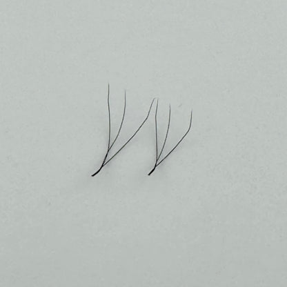 W 3d Lash Tray