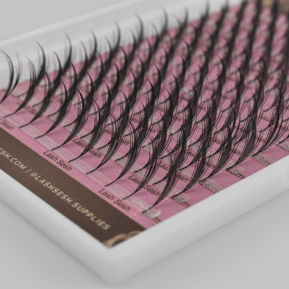 Anime Lash Trays