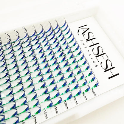 Tinsel Anime Lash Trays