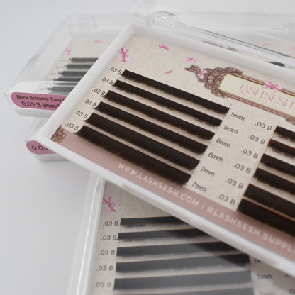 Bottom Lash Trays (Loose Base)