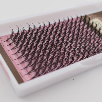 Rei Anime Lash tray