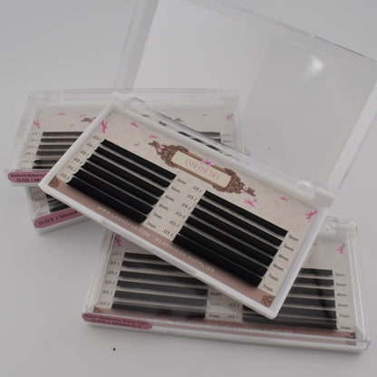 Bottom Lash Trays (Loose Base)